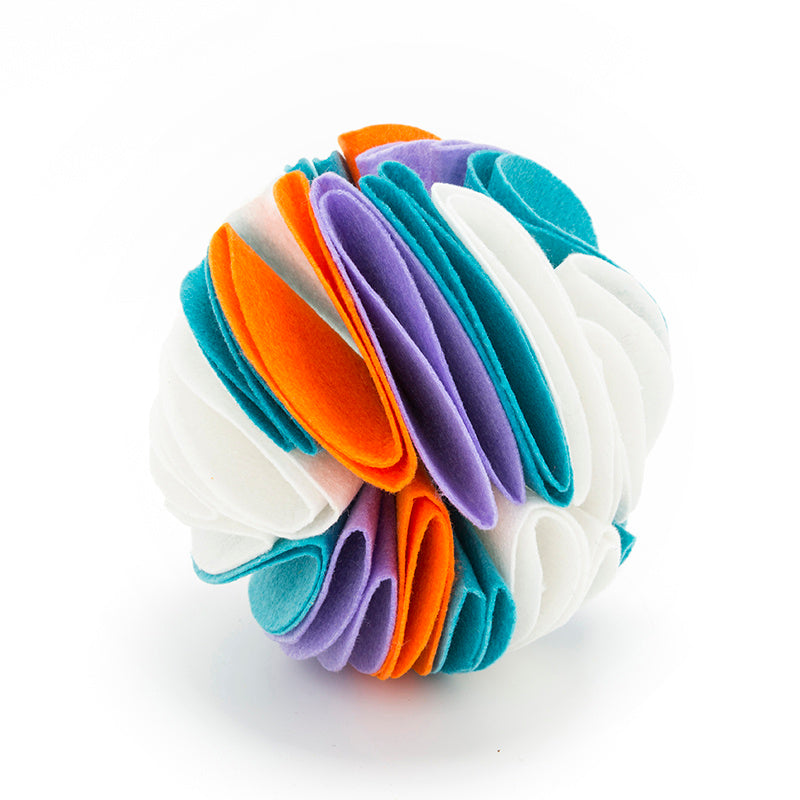 iq trainig dog ball blue