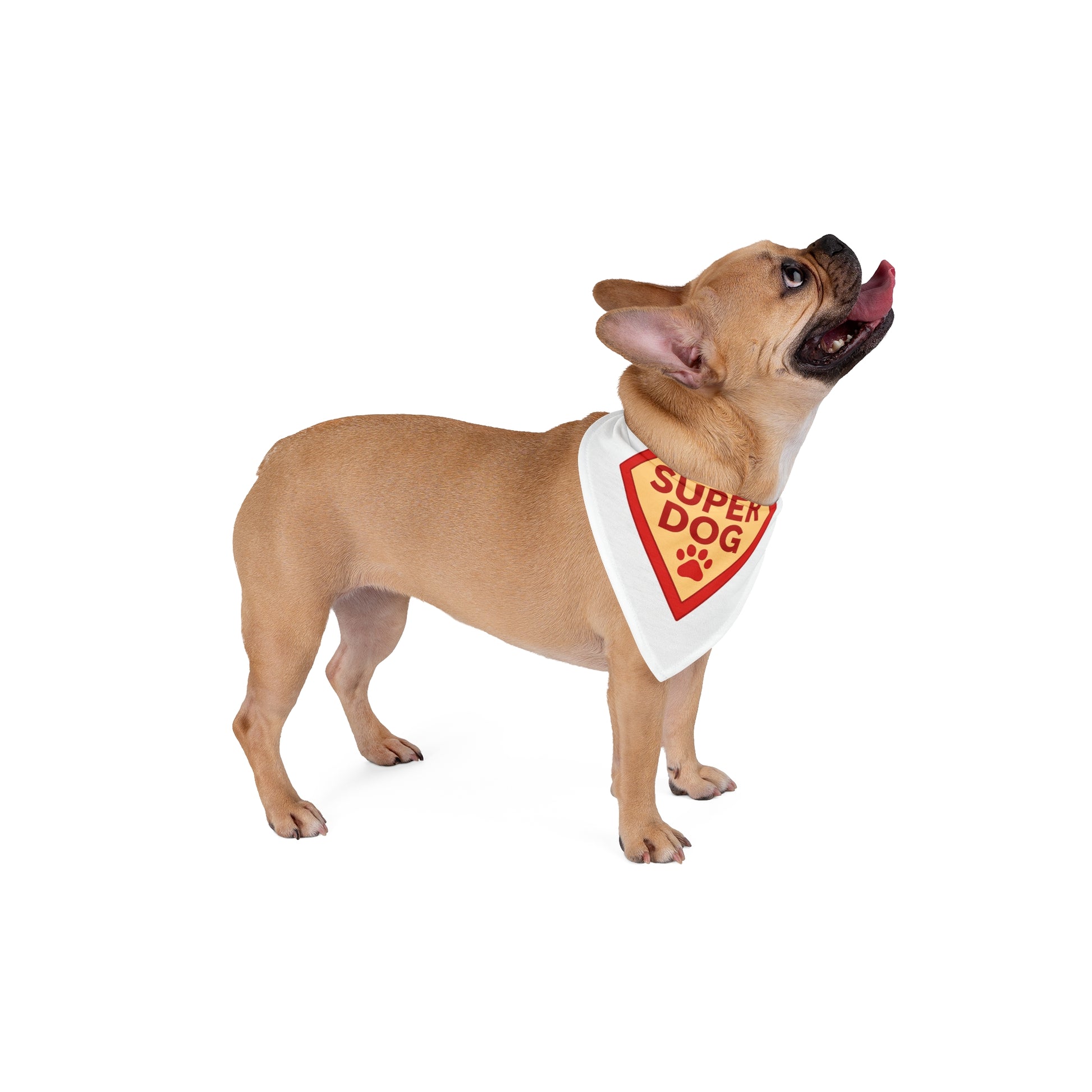 dog bandana