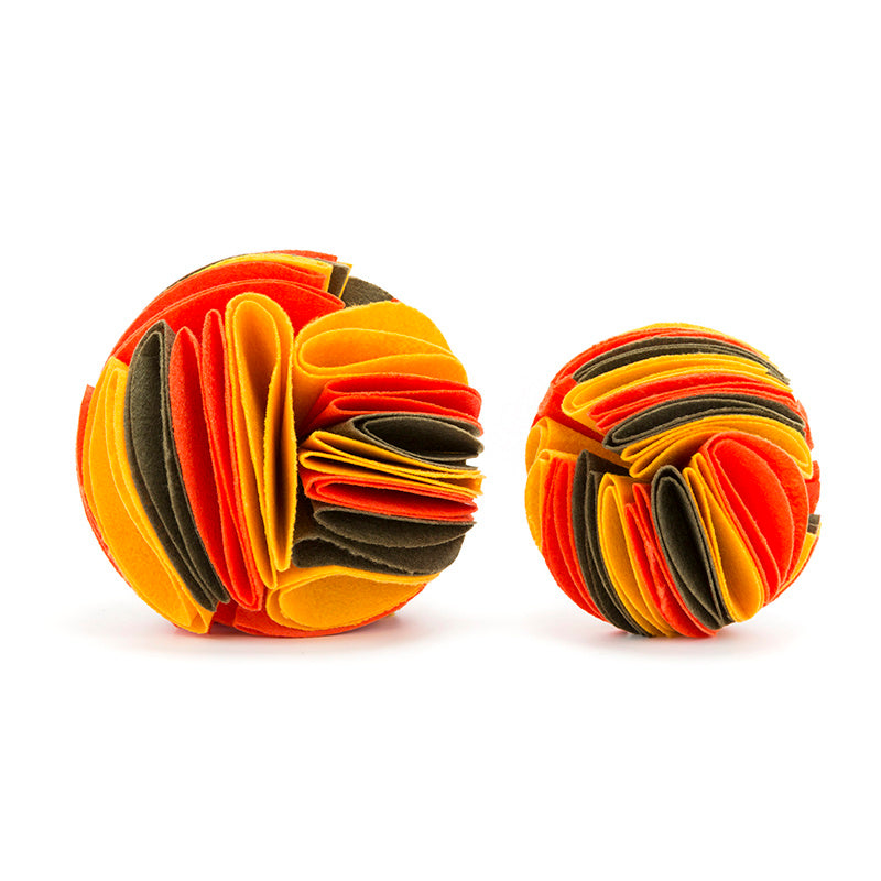 dog training ball
