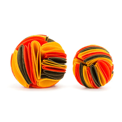 dog training ball