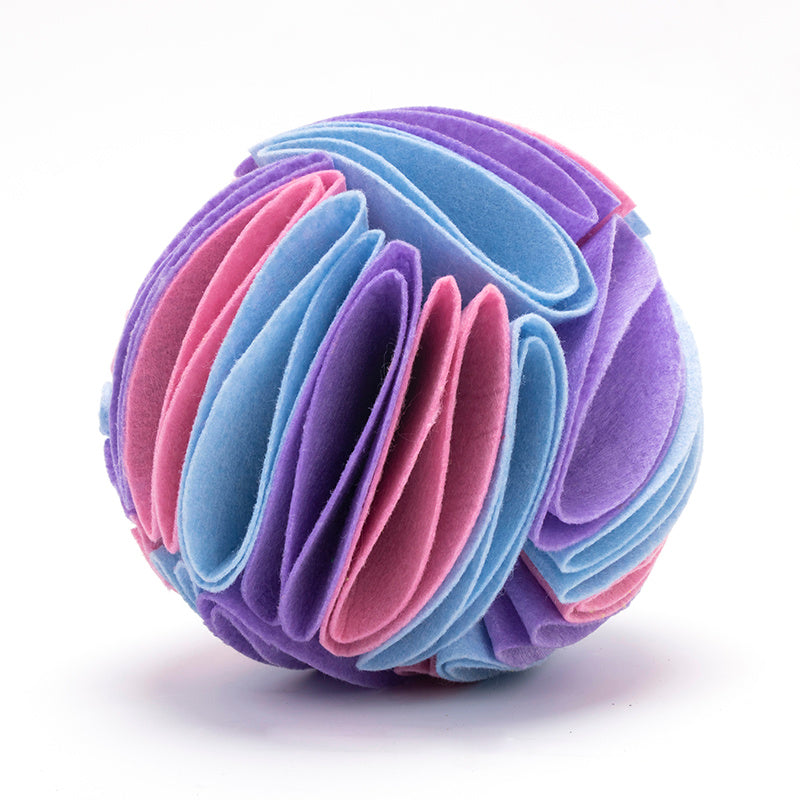 iq training dog ball purple