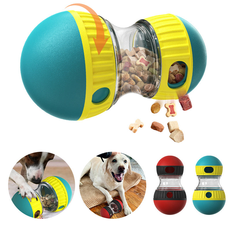 mental stimulation for pets