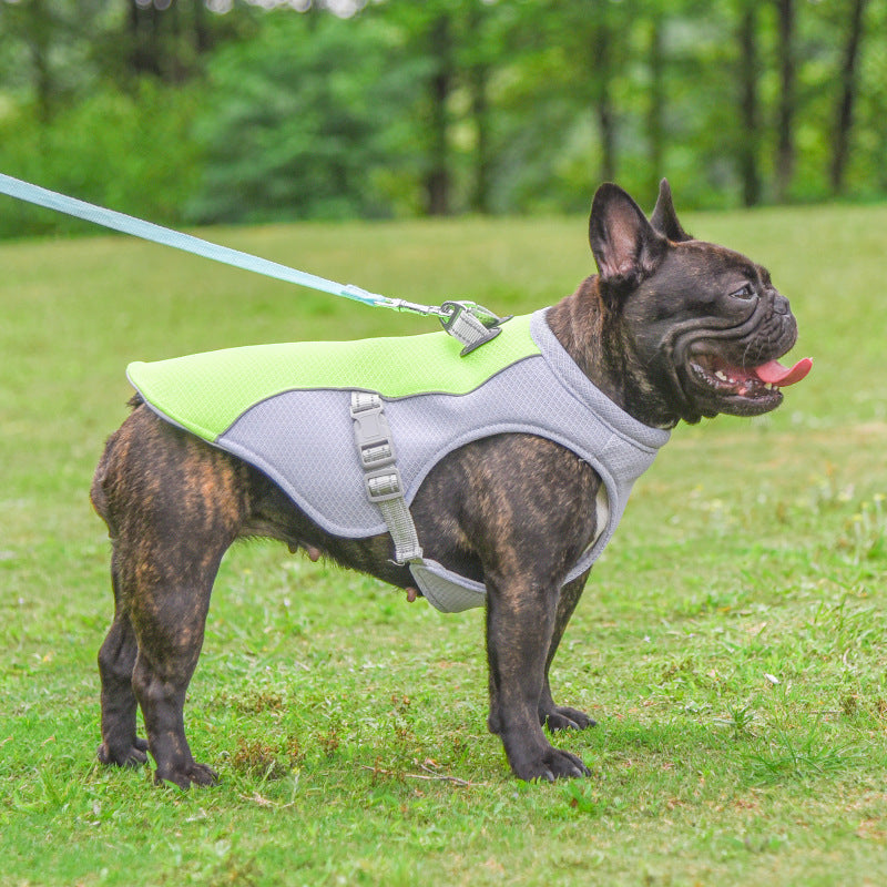 dog cooling vest