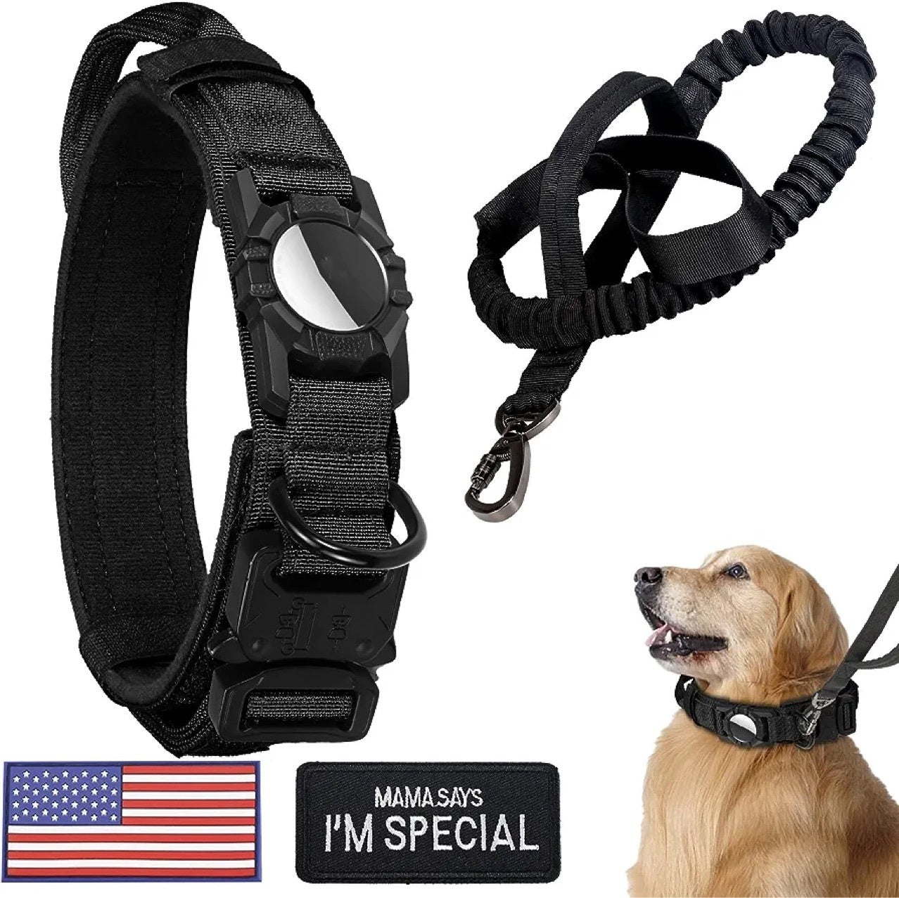 robust dog collar black