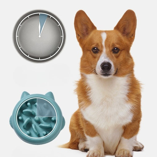 slow bowl food for pets
