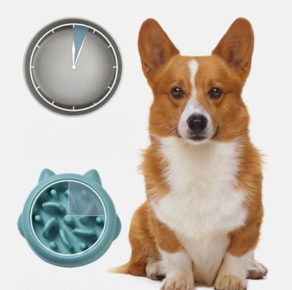 slow bowl food for pets