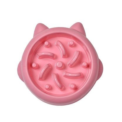 slow food bowl for cats